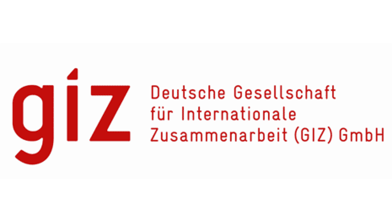 logo-giz